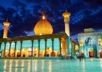 سازمان سینمایی جنایت شاهچراغ را محکوم کرد