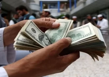 پیش بینی قیمت دلار امروز شنبه 14 مرداد 1402