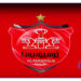 پرسپولیس به دنبال مربی کارنامهدار خارجی: آرامش در نقل و انتقالات و حمایت بیدریغ سهامداران